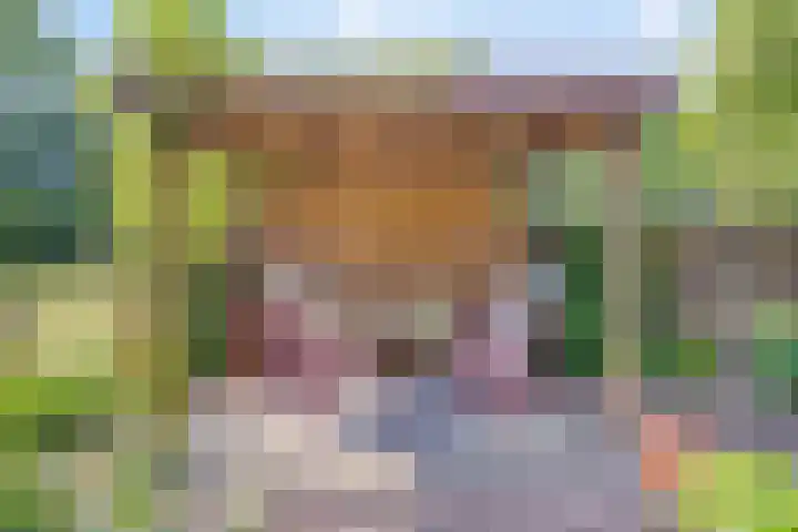 Maasdijk 5 Overlangel thumbnail 60