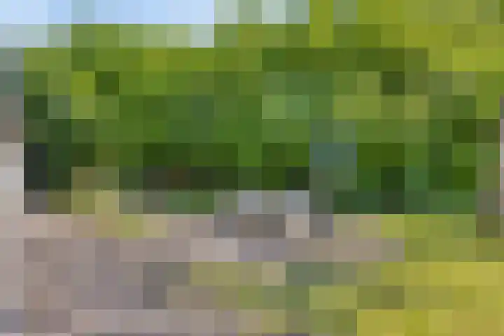 Maasdijk 5 Overlangel thumbnail 61