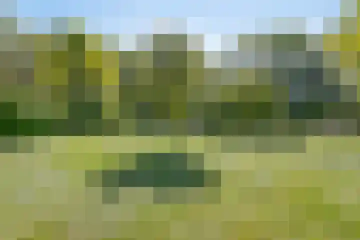 Maasdijk 5 Overlangel thumbnail 62