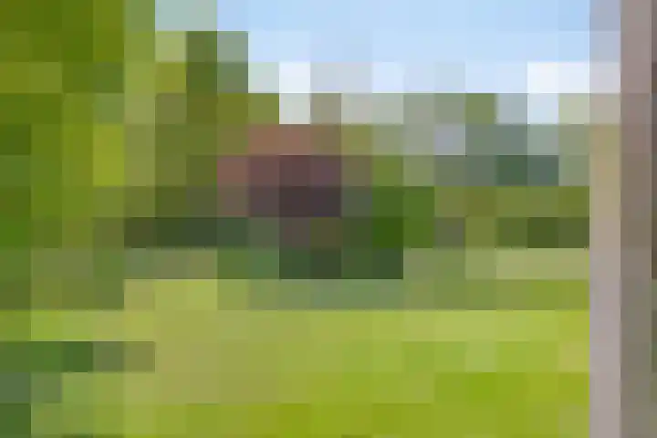 Maasdijk 5 Overlangel thumbnail 63