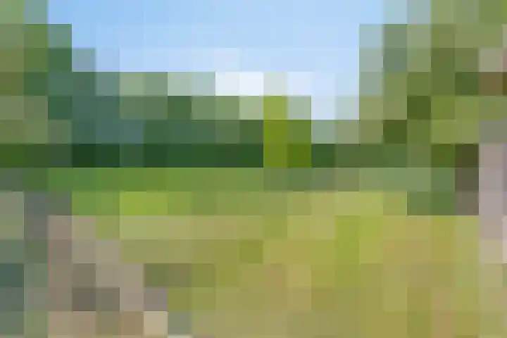 Maasdijk 5 Overlangel thumbnail 65