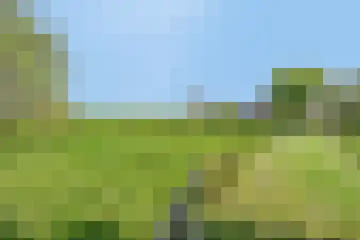 Maasdijk 5 Overlangel thumbnail 66