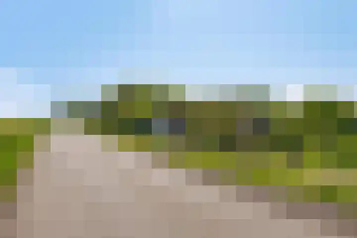 Maasdijk 5 Overlangel thumbnail 68