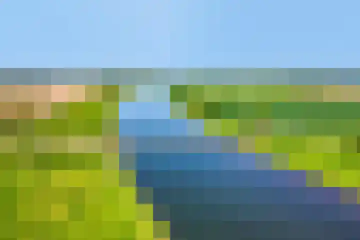 Maasdijk 5 Overlangel thumbnail 69