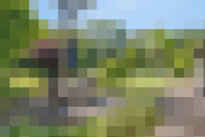Maasdijk 5 Overlangel thumbnail 7