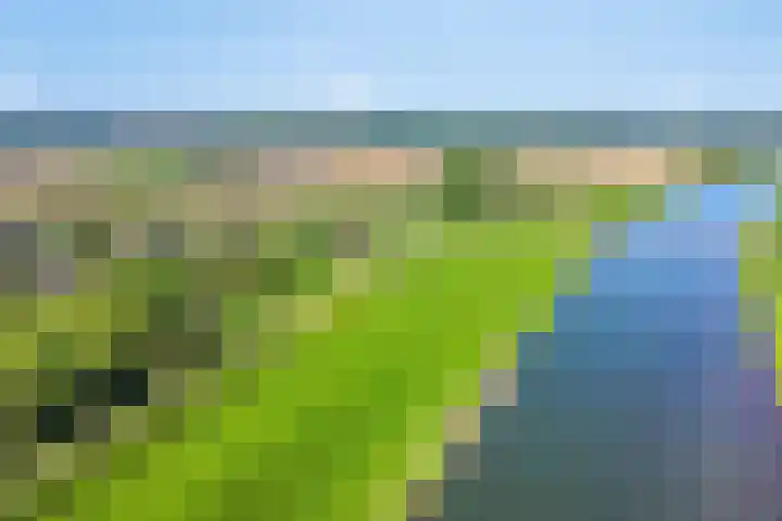 Maasdijk 5 Overlangel thumbnail 70