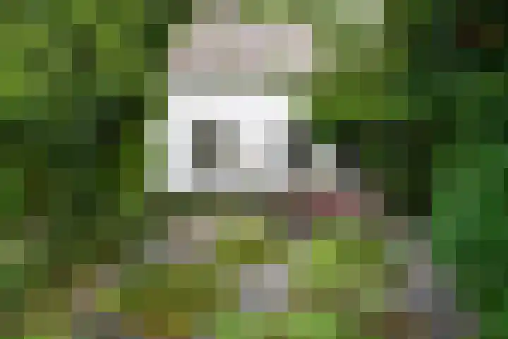 Maasdijk 50 Rijswijk (NB) thumbnail 33