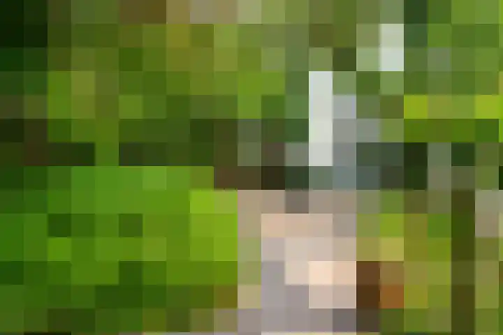 Maasdijk 50 Rijswijk (NB) thumbnail 34