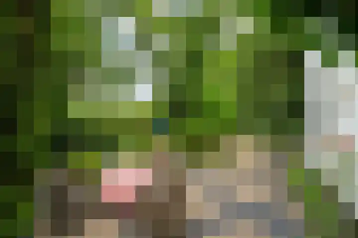 Maasdijk 50 Rijswijk (NB) thumbnail 35