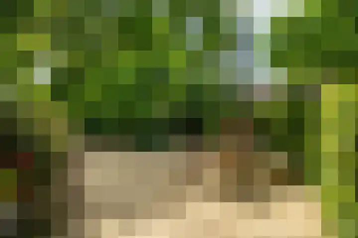 Maasdijk 50 Rijswijk (NB) thumbnail 36