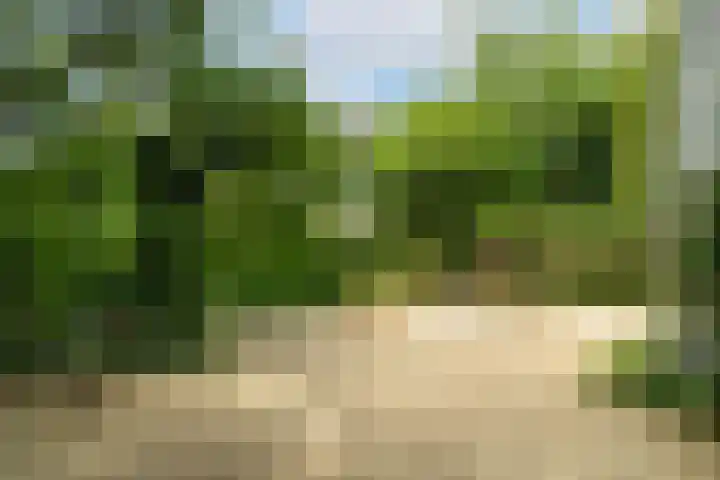 Maasdijk 50 Rijswijk (NB) thumbnail 37
