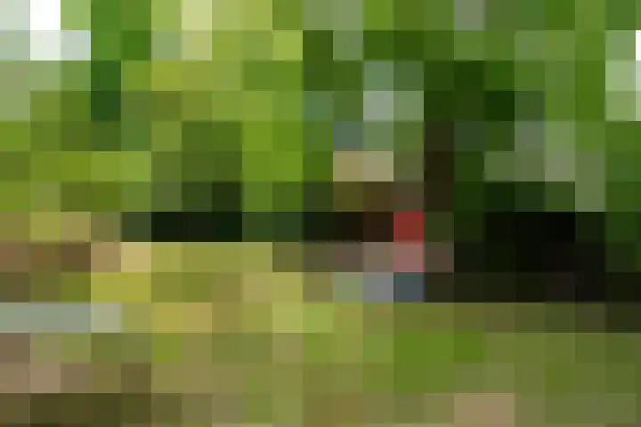 Maasdijk 50 Rijswijk (NB) thumbnail 38