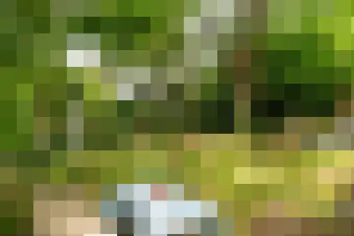 Maasdijk 50 Rijswijk (NB) thumbnail 39