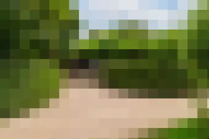 Maasdijk 50 Rijswijk (NB) thumbnail 4