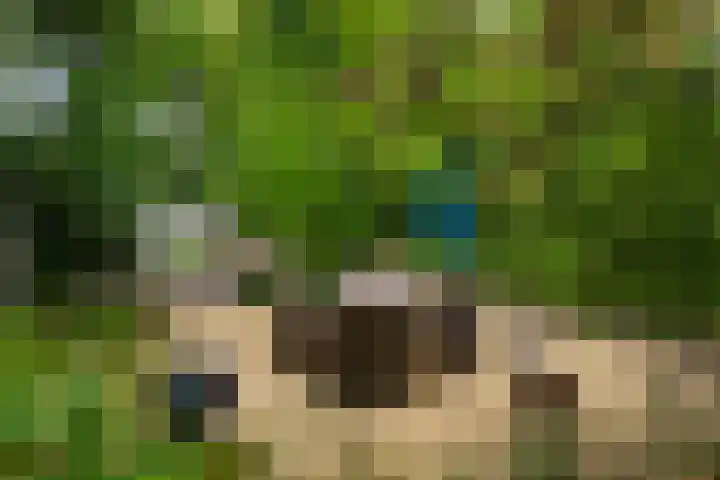 Maasdijk 50 Rijswijk (NB) thumbnail 40