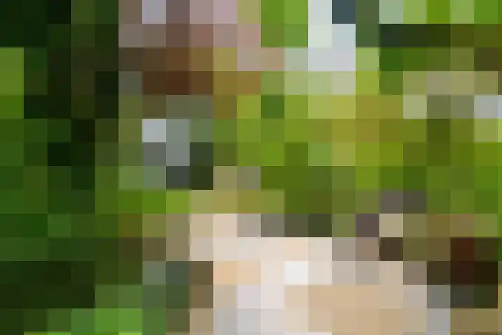 Maasdijk 50 Rijswijk (NB) thumbnail 41