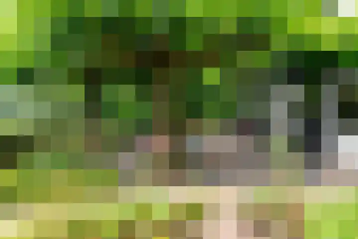 Maasdijk 50 Rijswijk (NB) thumbnail 43