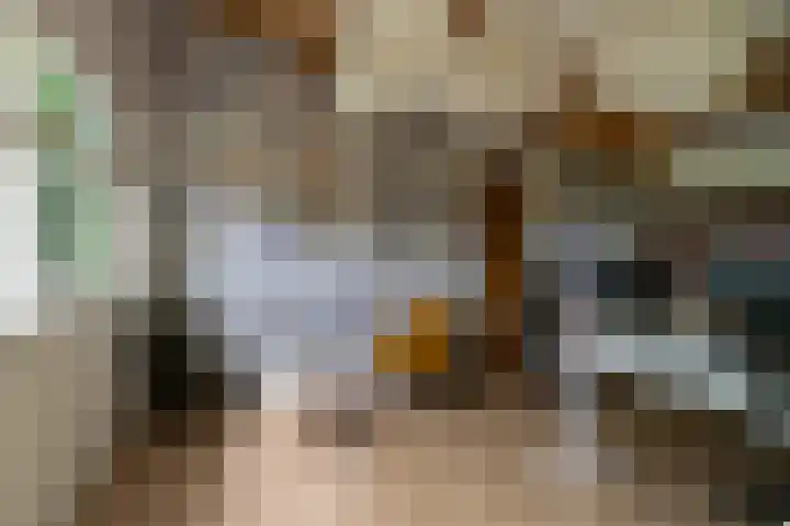 Maasdijk 50 Rijswijk (NB) thumbnail 44