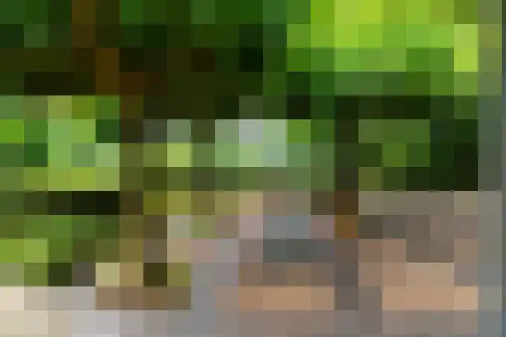 Maasdijk 50 Rijswijk (NB) thumbnail 47