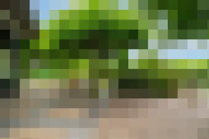 Maasdijk 50 Rijswijk (NB) thumbnail 48