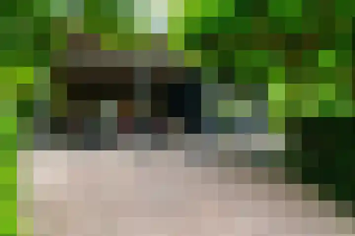 Maasdijk 50 Rijswijk (NB) thumbnail 49