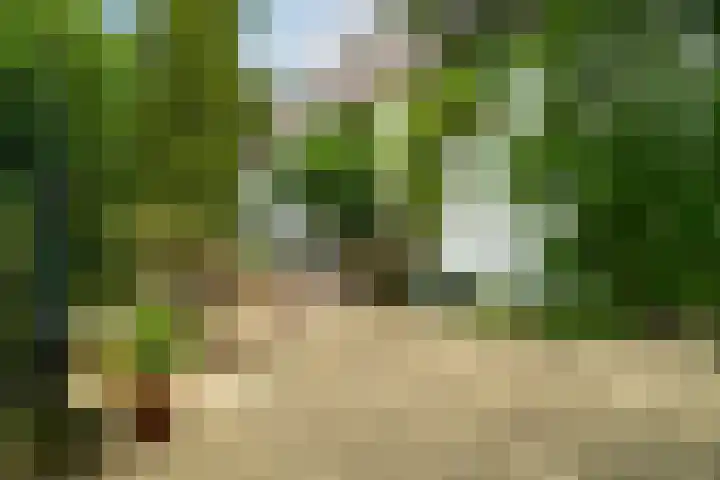 Maasdijk 50 Rijswijk (NB) thumbnail 5