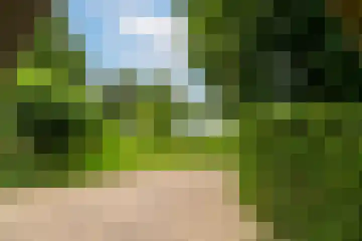 Maasdijk 50 Rijswijk (NB) thumbnail 50