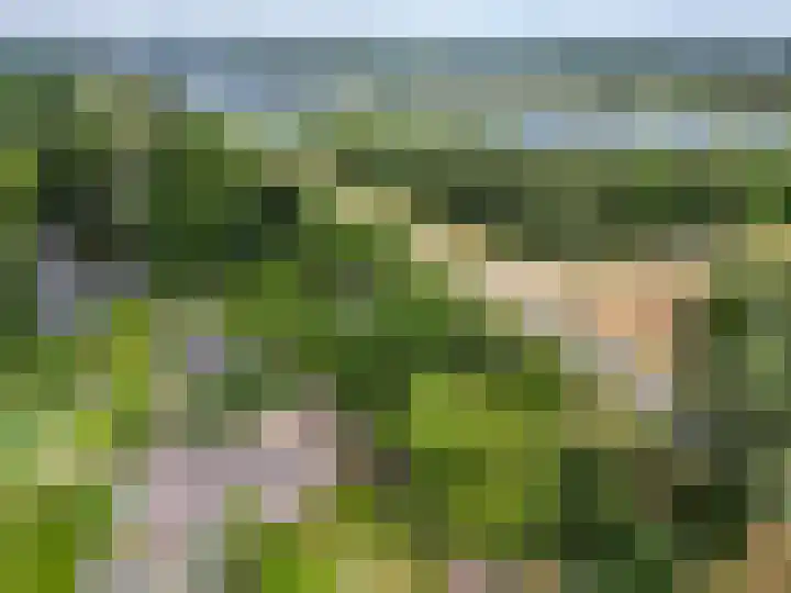 Maasdijk 50 Rijswijk (NB) thumbnail 52