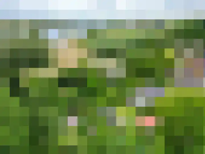 Maasdijk 50 Rijswijk (NB) thumbnail 53