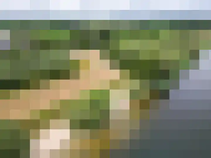 Maasdijk 50 Rijswijk (NB) thumbnail 54
