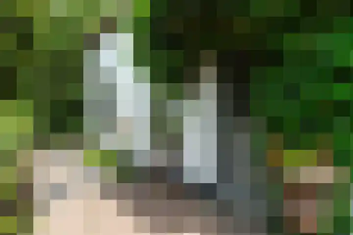 Maasdijk 50 Rijswijk (NB) thumbnail 6