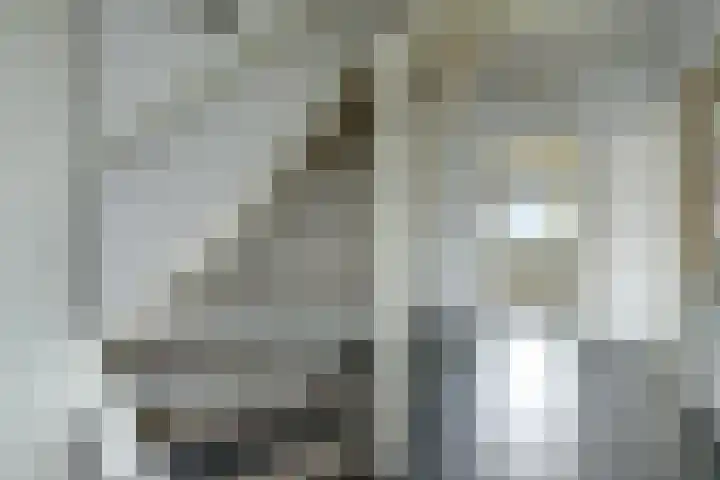 Maasdijk 53 B Maasdijk thumbnail 12