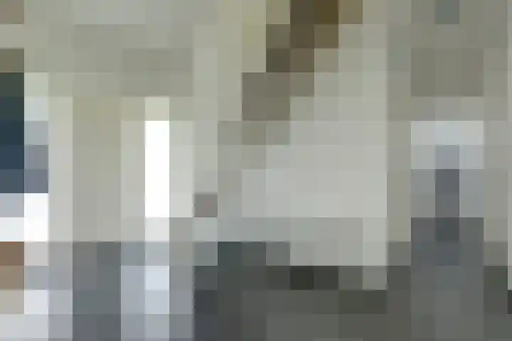 Maasdijk 53 B Maasdijk thumbnail 13