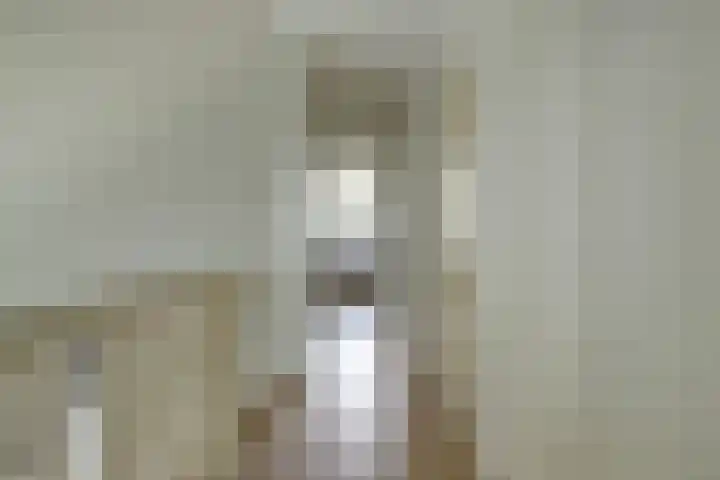 Maasdijk 53 B Maasdijk thumbnail 19