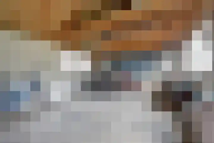 Maasdijk 53 B Maasdijk thumbnail 28