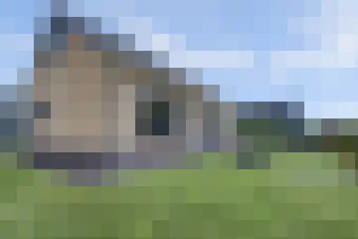 Maasdijk 53 B Maasdijk thumbnail 32