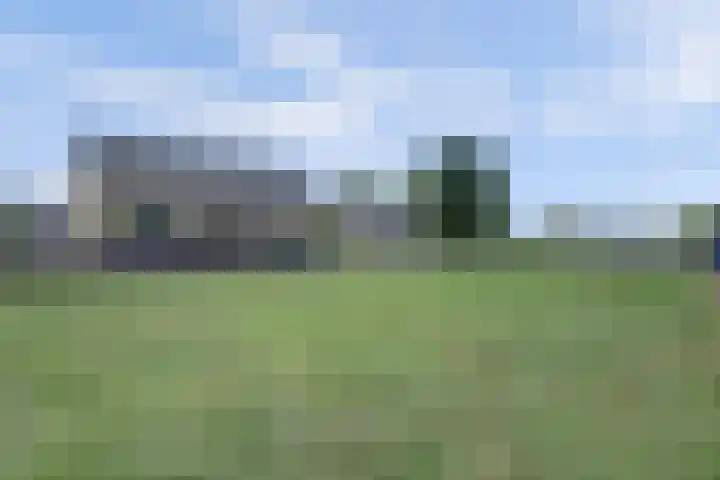 Maasdijk 53 B Maasdijk thumbnail 41