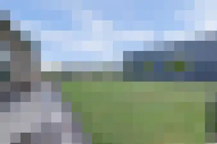 Maasdijk 53 B Maasdijk thumbnail 43