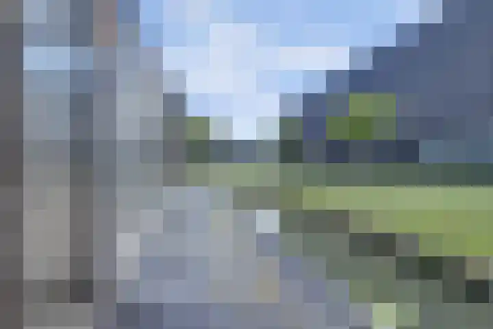 Maasdijk 53 B Maasdijk thumbnail 45