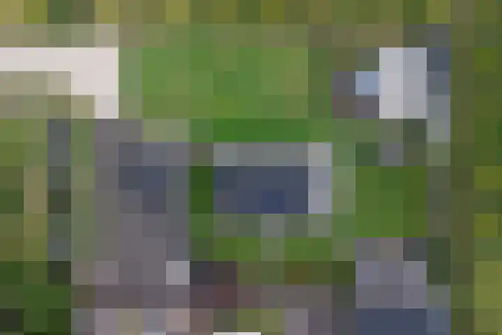 Maasdijk 53 B Maasdijk thumbnail 46