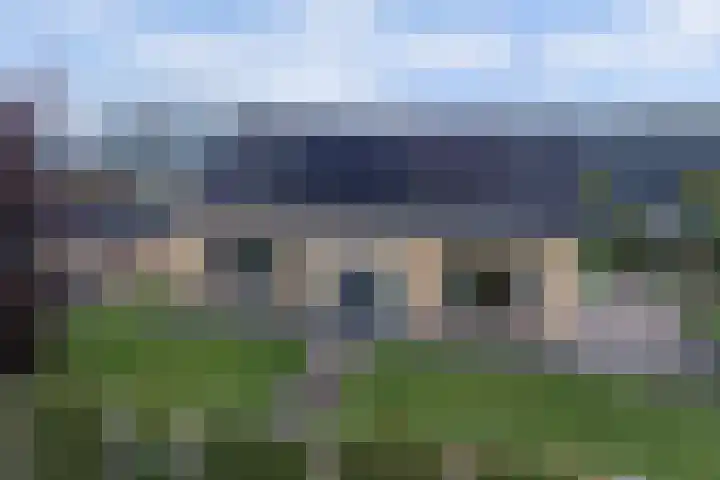 Maasdijk 53 B Maasdijk thumbnail 49