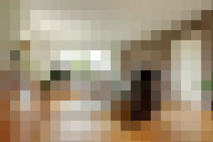 Maasdijk 53 B Maasdijk thumbnail 6