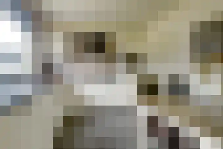 Maasdijk 53 B Maasdijk thumbnail 8