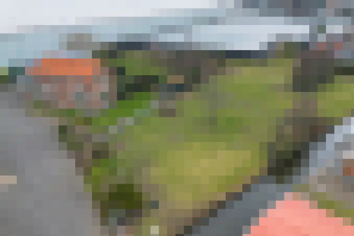 Maasdijk 58 Maasdijk