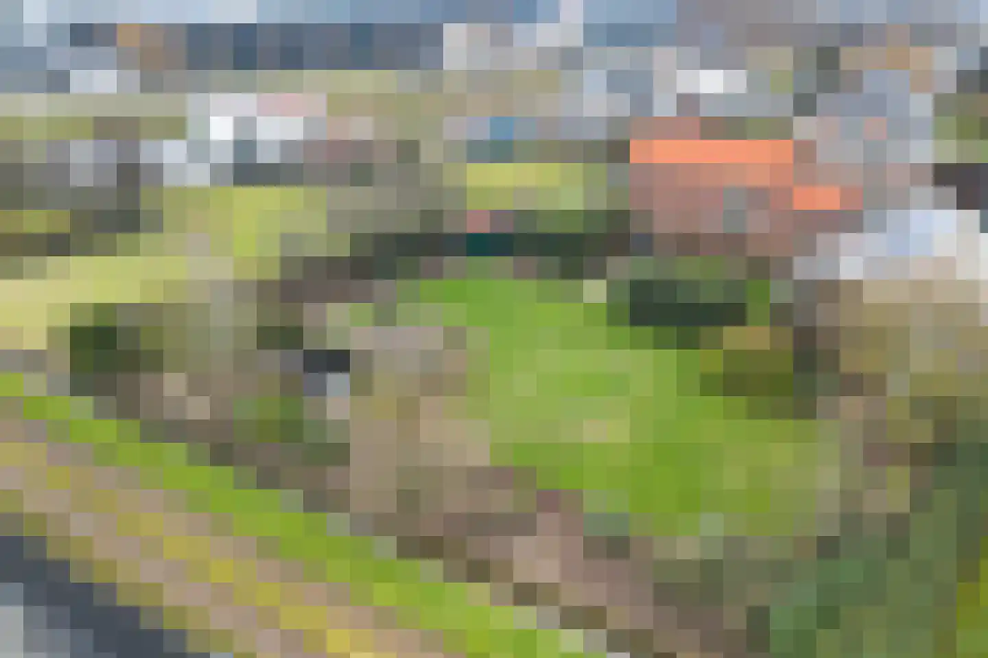 Maasdijk 58 Maasdijk thumbnail 11