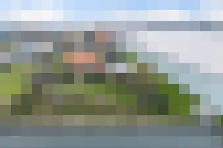 Maasdijk 58 Maasdijk thumbnail 13