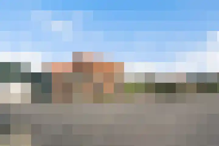 Maasdijk 58 Maasdijk thumbnail 15