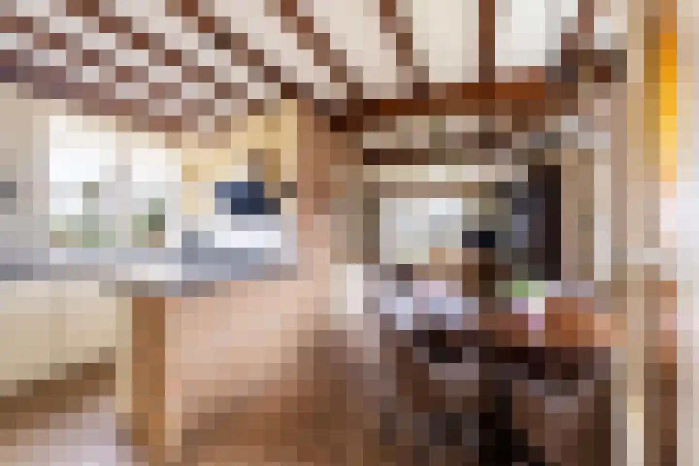 Maasdijk 58 Maasdijk thumbnail 21