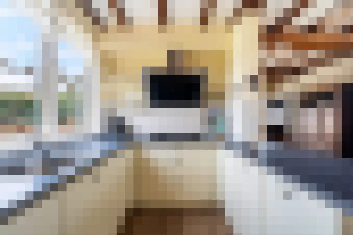 Maasdijk 58 Maasdijk thumbnail 23