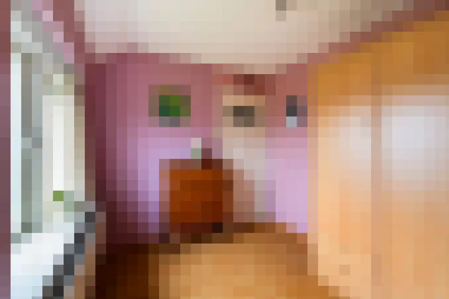 Maasdijk 58 Maasdijk thumbnail 31